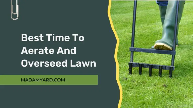 Best Time To Aerate And Overseed Lawn