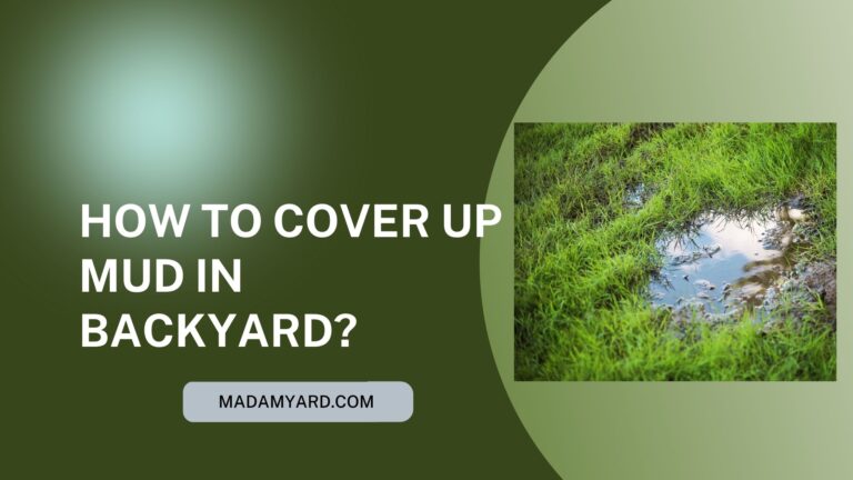 How To Cover Up Mud In Backyard?