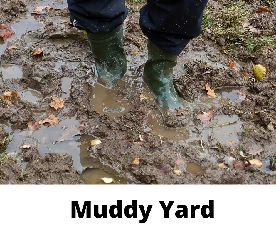 how to cover up mud in backyard