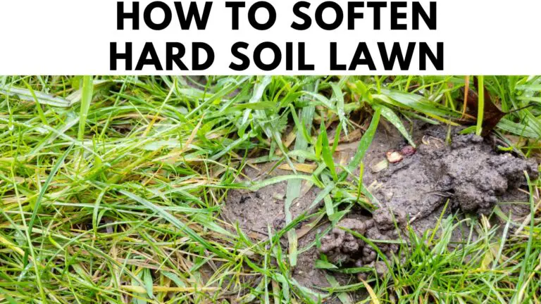How To Soften Hard Soil Lawn?