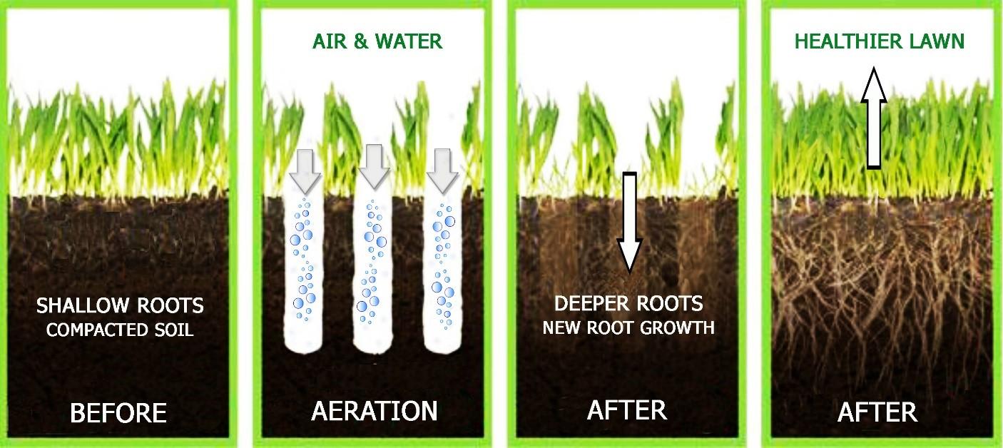 Best time to aerate and overseed lawn