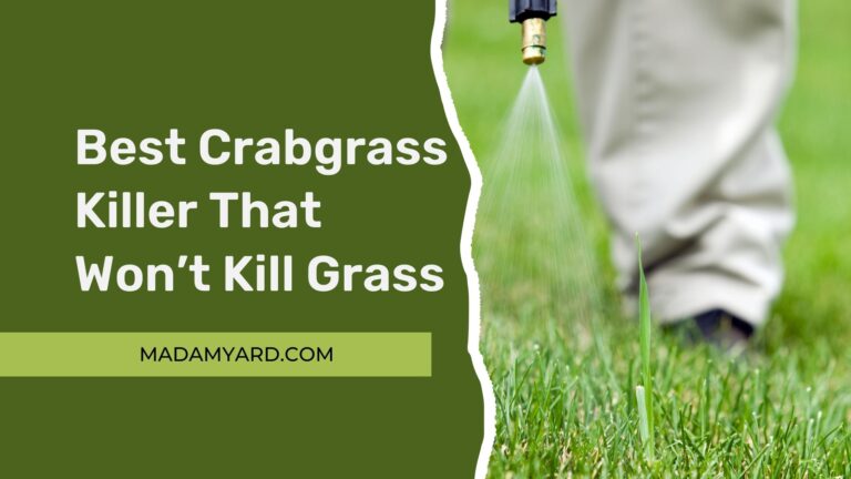 5 Best Crabgrass Killer That Won’t Kill Grass