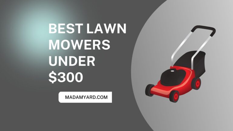 Best Lawn Mowers Under $300