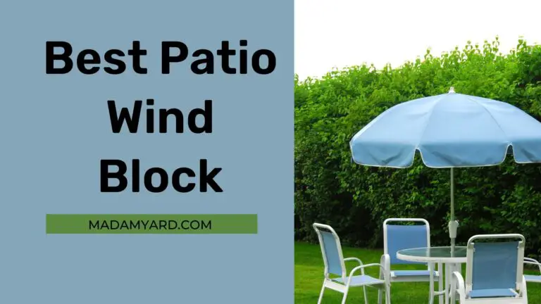 Best Patio Wind Block (2022)