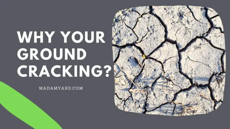 Why Your Ground Cracking? (How To Stop It?)