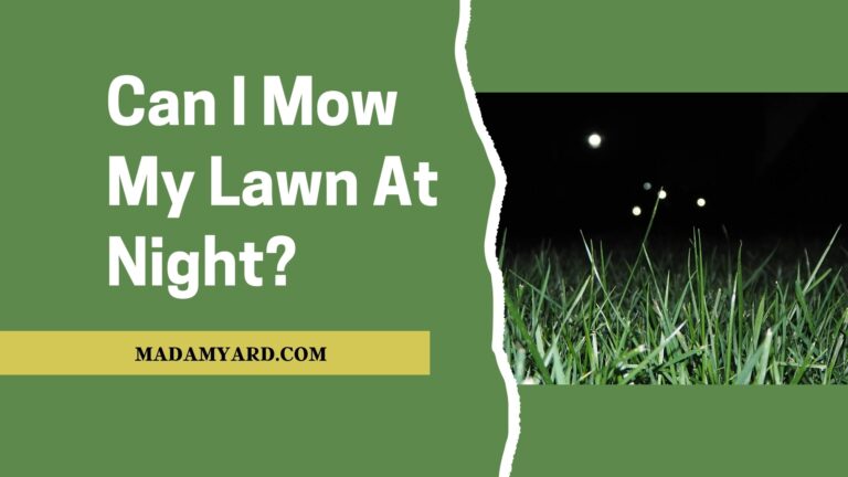 Can I Mow My Lawn At Night?