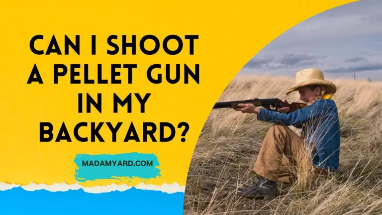 Can I Shoot A Pellet Gun In My Backyard?