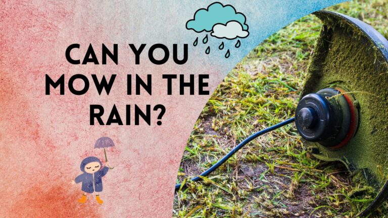 Can You Mow In The Rain?