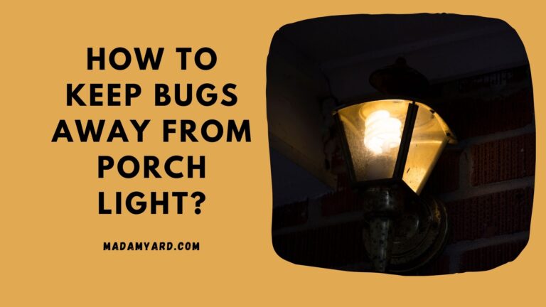 How To Keep Bugs Away From Porch Light?