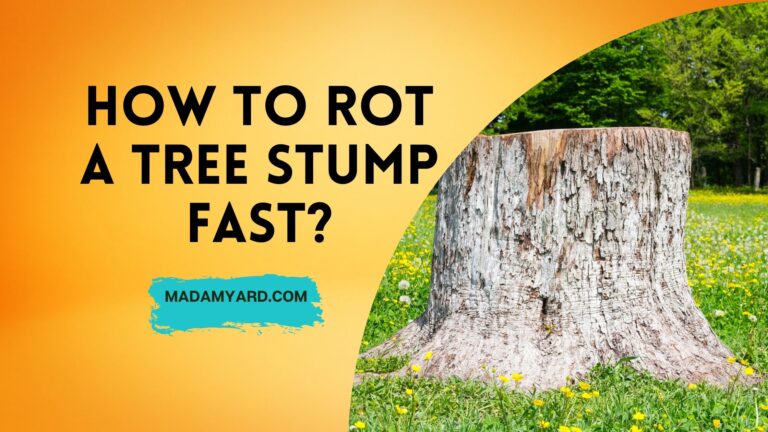 How To Rot A Tree Stump Fast?