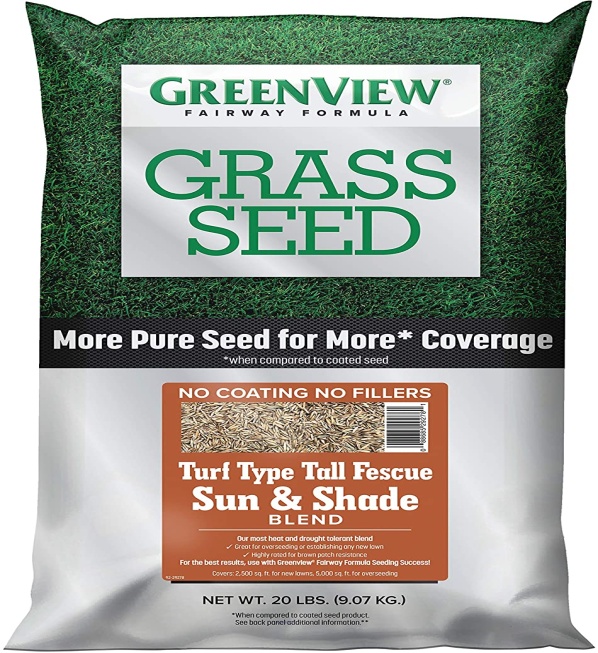 best fescue grass seed