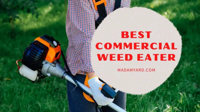 9 Best Commercial Weed Eater (2022)