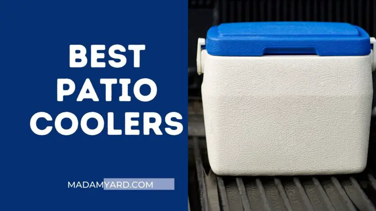 9 Best Patio Coolers (2023)