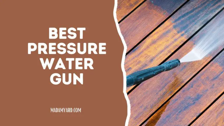 Best Pressure Water Gun (2022)