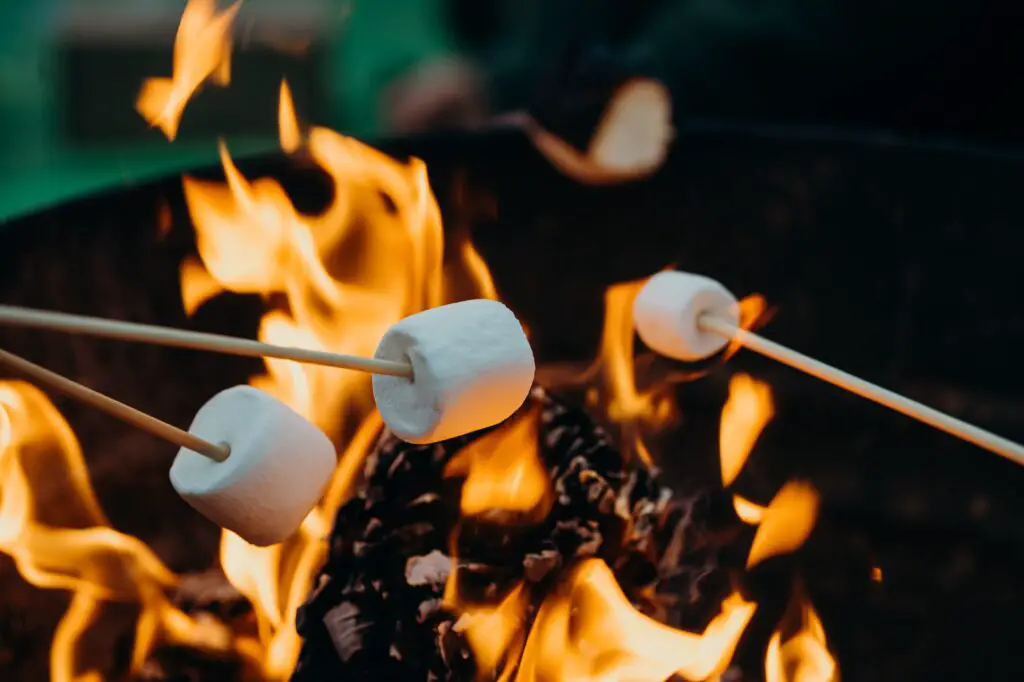 Can You Roast Marshmallows On A Propane Fire Pit