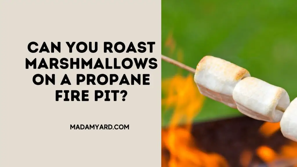 Can You Roast Marshmallows On A Propane Fire Pit Archives - MadamYard