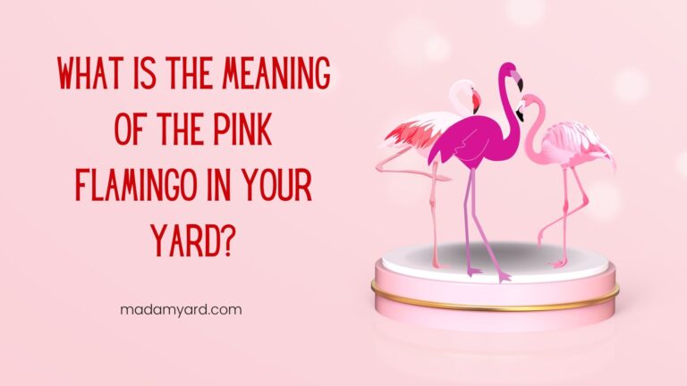 What Is the Meaning of Pink Flamingos In The Yard?