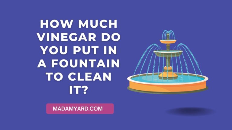 How Much Vinegar Do You Put In A Fountain To Clean It?