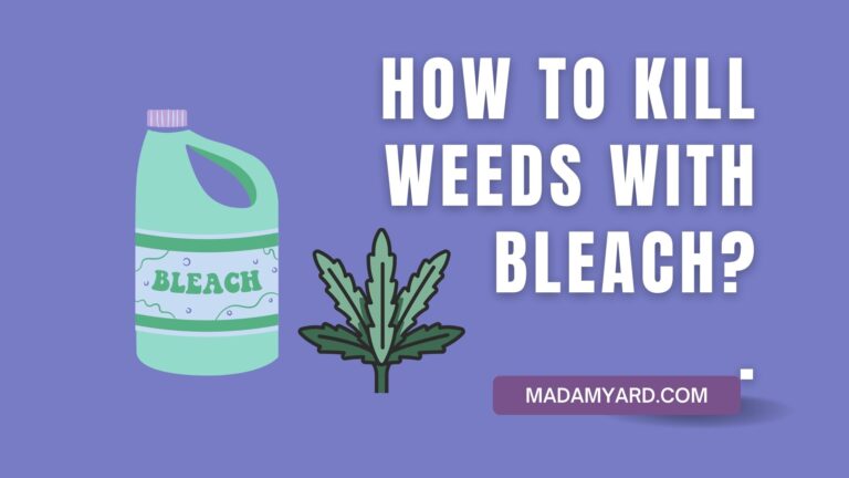 How to Kill Weeds With Bleach?