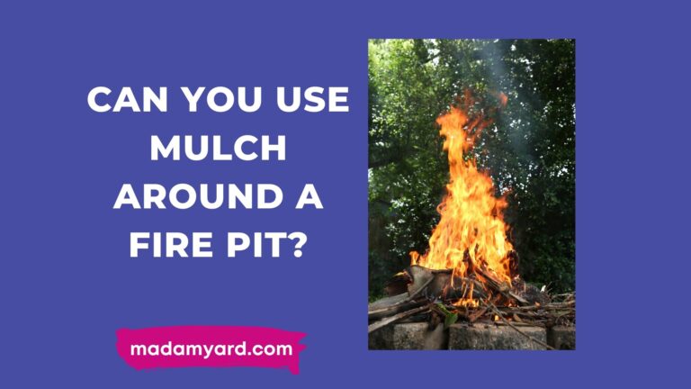 Can You Use Mulch Around A Fire Pit?
