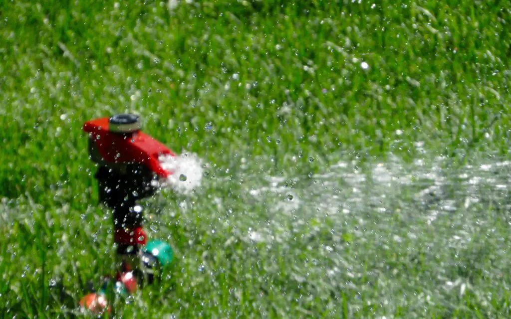 How Long Should You Stay Off The Grass After Fertilizing