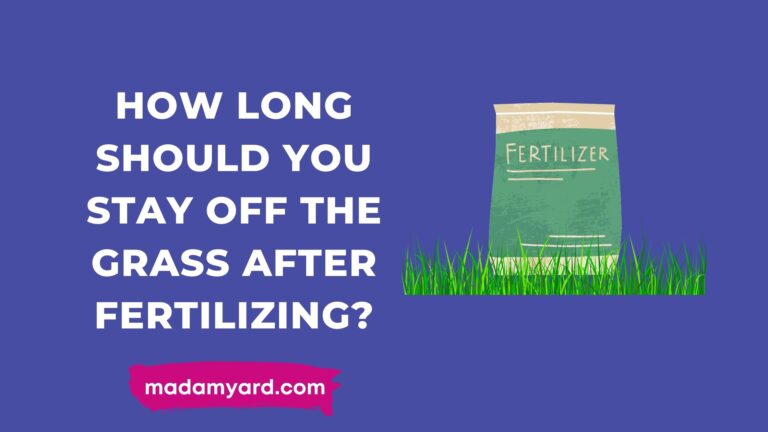How Long Should You Stay Off The Grass After Fertilizing?