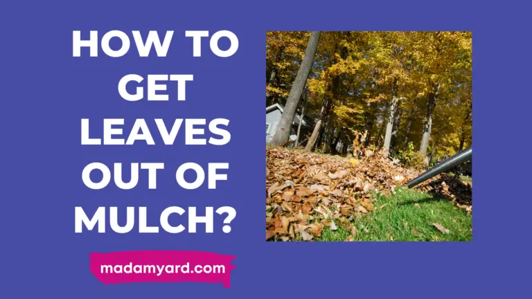 How To Get Leaves Out Of Mulch?