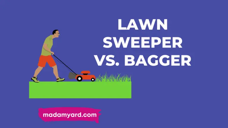 Lawn Sweeper vs. Bagger: Which One Is The Best?