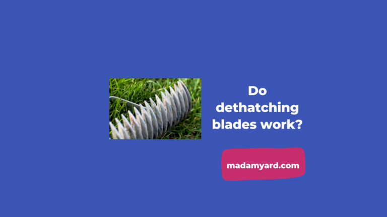 Do Dethatching Blades Work?
