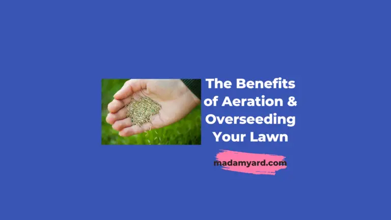 The Benefits of Aeration & Overseeding Your Lawn